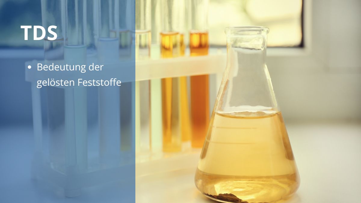 TDS im Poolwasser: Was du über gelöste Feststoffe wissen musst